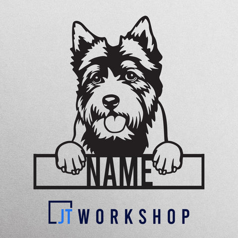 Norwich Terrier